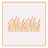 Open Lawn